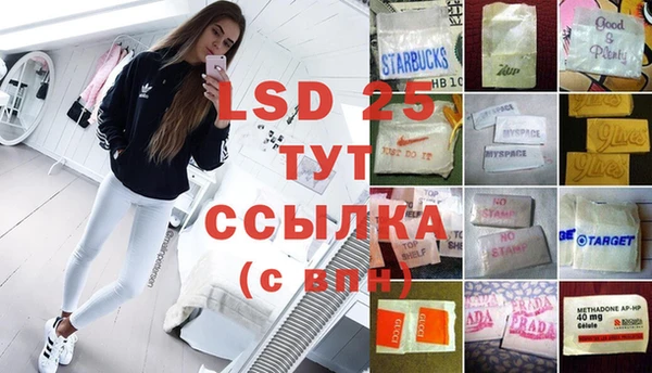 твердый Снежногорск