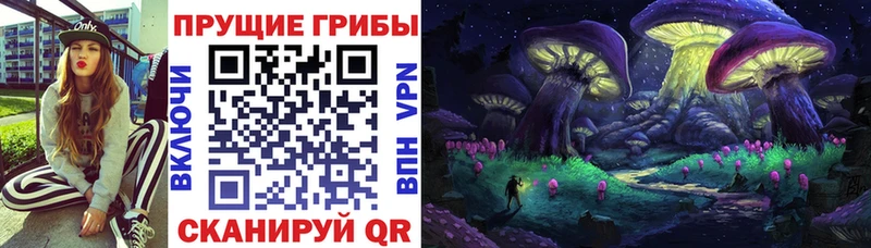 Галлюциногенные грибы мицелий  сколько стоит  Кувандык 